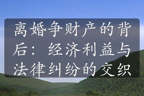 离婚争财产的背后：经济利益与法律纠纷的交织