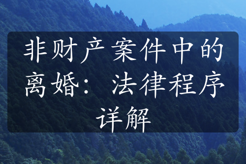 非财产案件中的离婚：法律程序详解