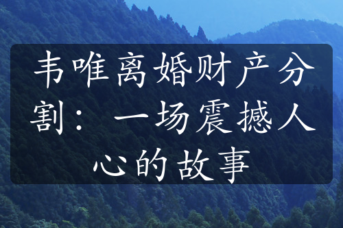 韦唯离婚财产分割：一场震撼人心的故事