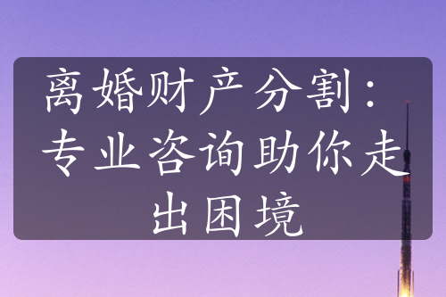 离婚财产分割：专业咨询助你走出困境