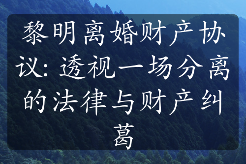 黎明离婚财产协议: 透视一场分离的法律与财产纠葛