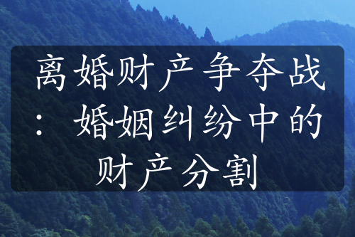 离婚财产争夺战：婚姻纠纷中的财产分割