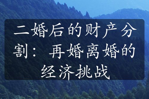 二婚后的财产分割：再婚离婚的经济挑战