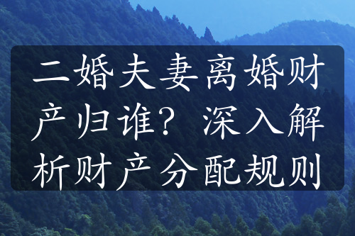 二婚夫妻离婚财产归谁？深入解析财产分配规则