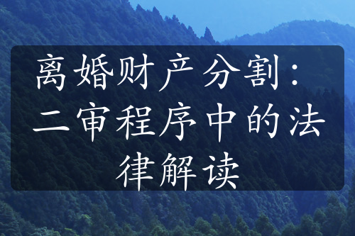 离婚财产分割：二审程序中的法律解读