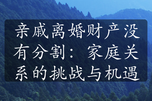 亲戚离婚财产没有分割：家庭关系的挑战与机遇