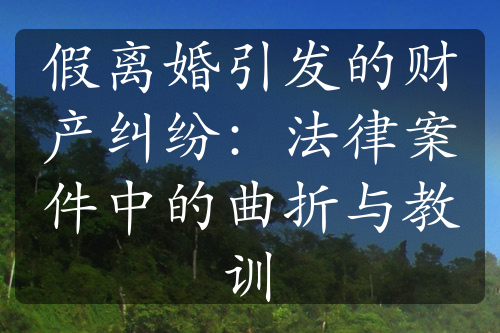 假离婚引发的财产纠纷：法律案件中的曲折与教训