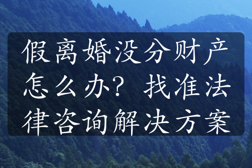 假离婚没分财产怎么办？找准法律咨询解决方案