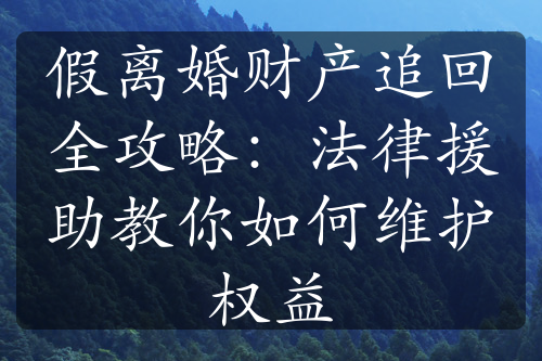 假离婚财产追回全攻略：法律援助教你如何维护权益