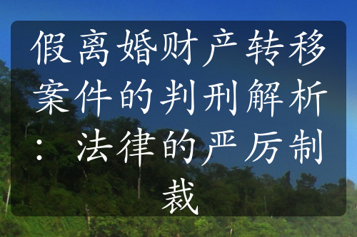 假离婚财产转移案件的判刑解析：法律的严厉制裁