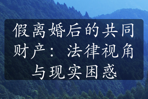 假离婚后的共同财产：法律视角与现实困惑