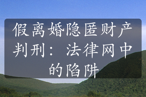 假离婚隐匿财产判刑：法律网中的陷阱