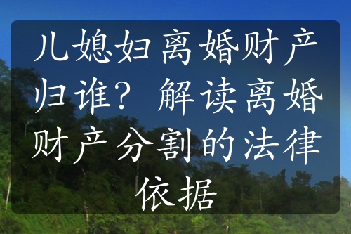 儿媳妇离婚财产归谁？解读离婚财产分割的法律依据