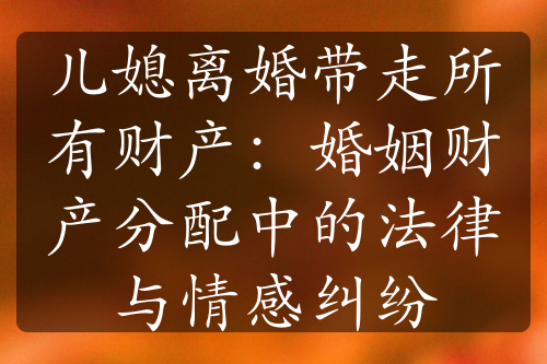 儿媳离婚带走所有财产：婚姻财产分配中的法律与情感纠纷