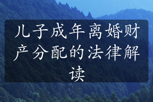 儿子成年离婚财产分配的法律解读