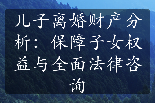 儿子离婚财产分析：保障子女权益与全面法律咨询