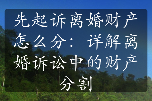 先起诉离婚财产怎么分：详解离婚诉讼中的财产分割