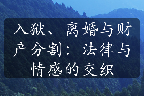 入狱、离婚与财产分割：法律与情感的交织