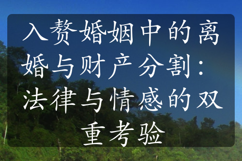 入赘婚姻中的离婚与财产分割：法律与情感的双重考验