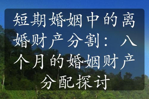 短期婚姻中的离婚财产分割：八个月的婚姻财产分配探讨