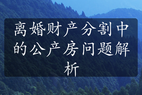 离婚财产分割中的公产房问题解析