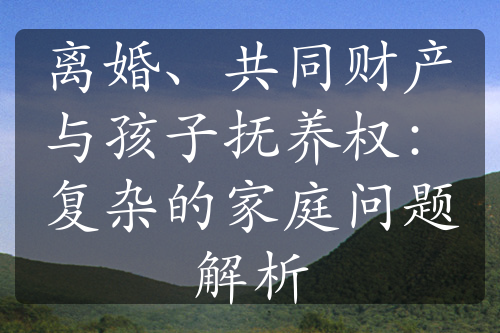 离婚、共同财产与孩子抚养权：复杂的家庭问题解析