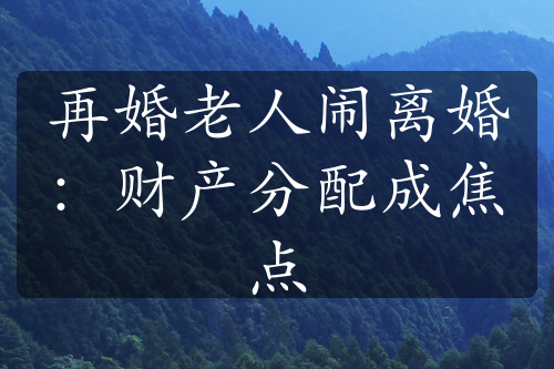 再婚老人闹离婚：财产分配成焦点