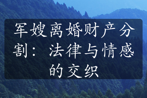 军嫂离婚财产分割：法律与情感的交织