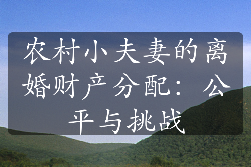 农村小夫妻的离婚财产分配：公平与挑战