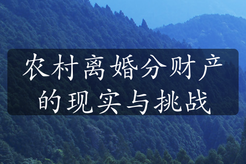 农村离婚分财产的现实与挑战