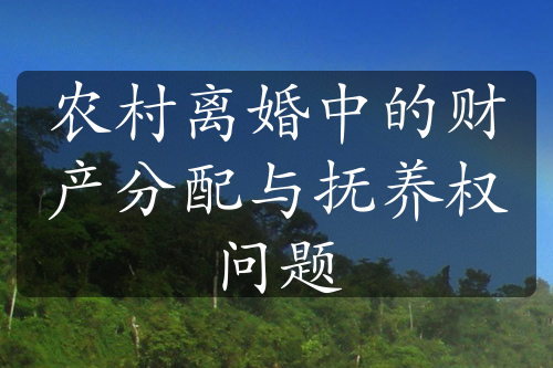 农村离婚中的财产分配与抚养权问题