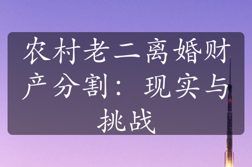 农村老二离婚财产分割：现实与挑战