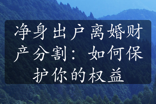 净身出户离婚财产分割：如何保护你的权益