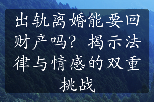 出轨离婚能要回财产吗？揭示法律与情感的双重挑战