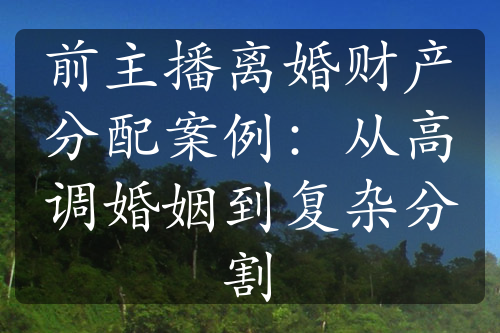 前主播离婚财产分配案例：从高调婚姻到复杂分割