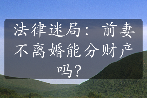 法律迷局：前妻不离婚能分财产吗？