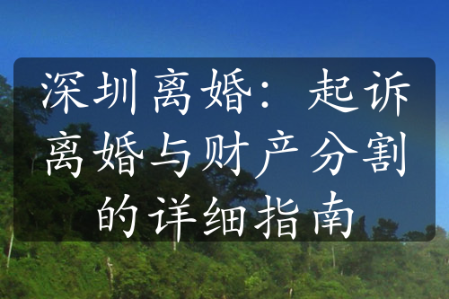 深圳离婚：起诉离婚与财产分割的详细指南