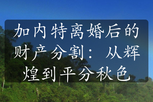 加内特离婚后的财产分割：从辉煌到平分秋色