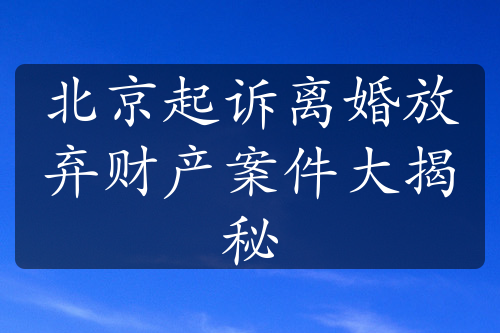 北京起诉离婚放弃财产案件大揭秘