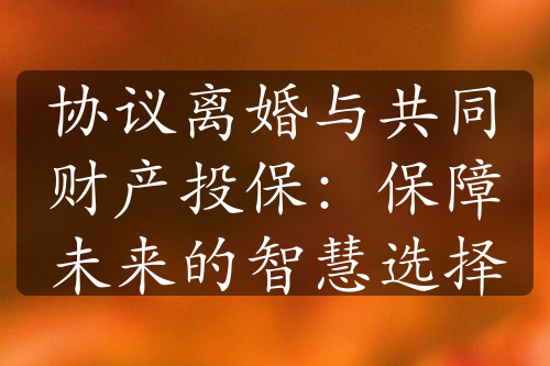 协议离婚与共同财产投保：保障未来的智慧选择