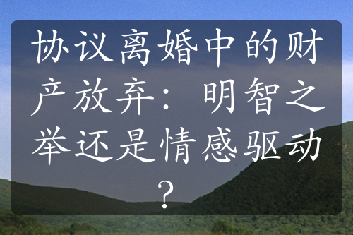 协议离婚中的财产放弃：明智之举还是情感驱动？