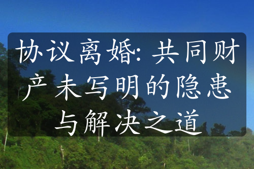 协议离婚: 共同财产未写明的隐患与解决之道