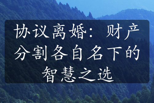 协议离婚：财产分割各自名下的智慧之选