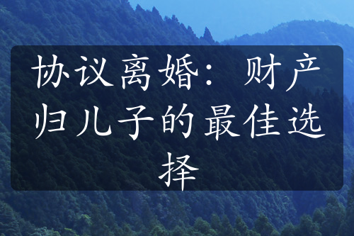 协议离婚：财产归儿子的最佳选择