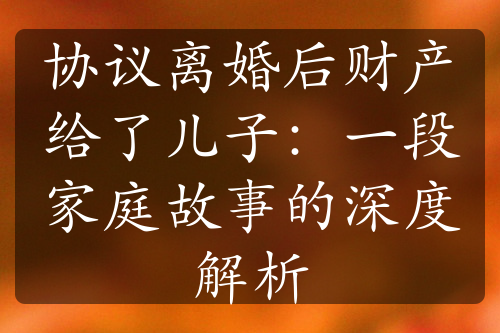 协议离婚后财产给了儿子：一段家庭故事的深度解析