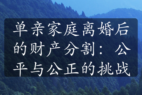 单亲家庭离婚后的财产分割：公平与公正的挑战