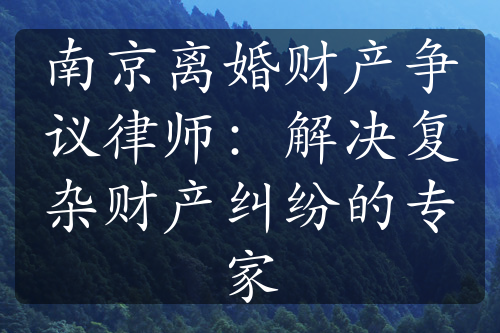 南京离婚财产争议律师：解决复杂财产纠纷的专家