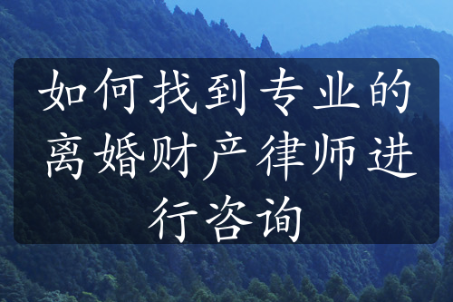 如何找到专业的离婚财产律师进行咨询