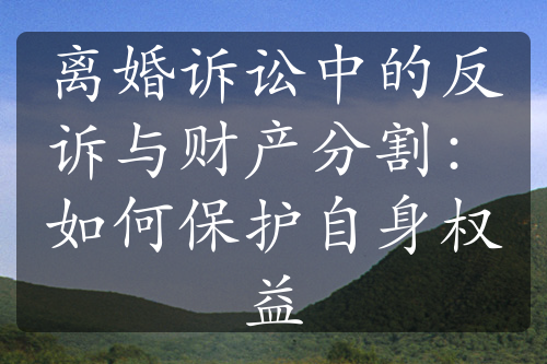 离婚诉讼中的反诉与财产分割：如何保护自身权益