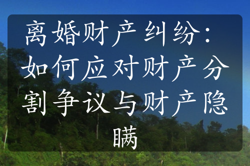 离婚财产纠纷：如何应对财产分割争议与财产隐瞒